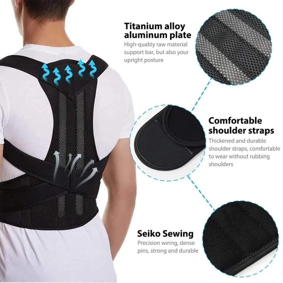 Back support Belt