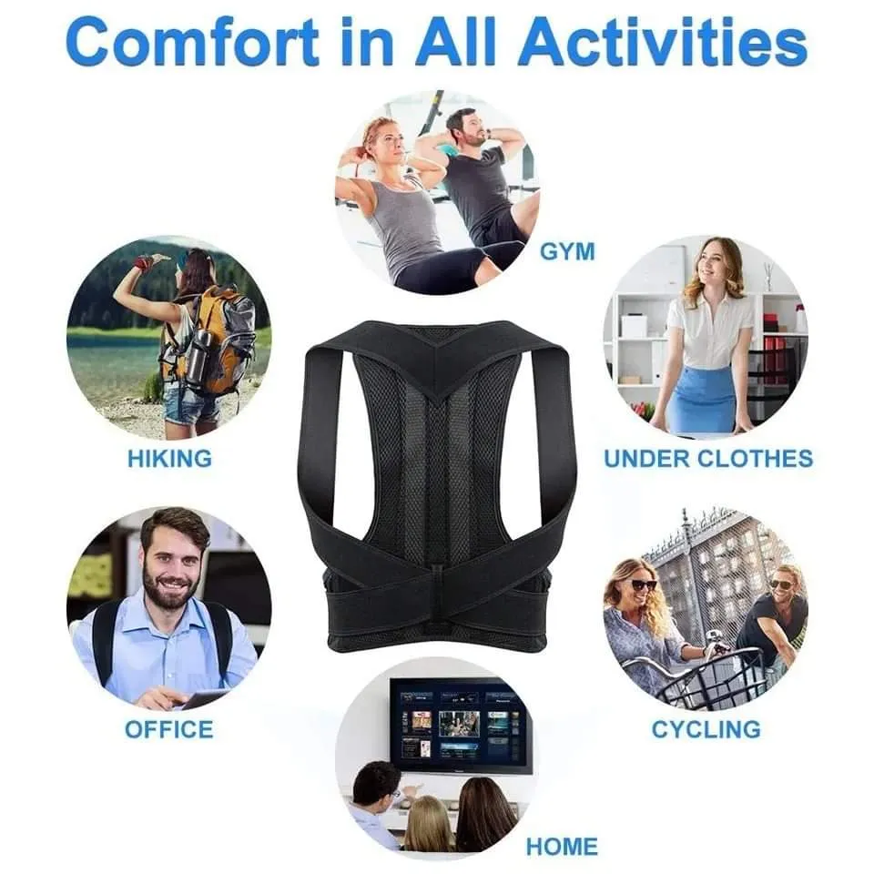Back support Belt